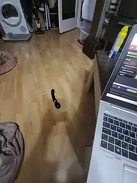Webkamerová show faszesszopo