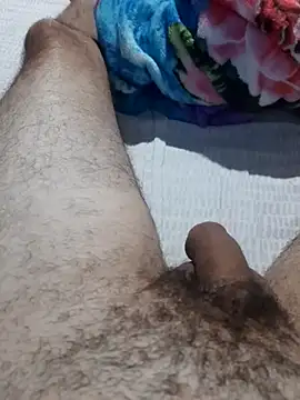 Show de punheteirosim na webcam