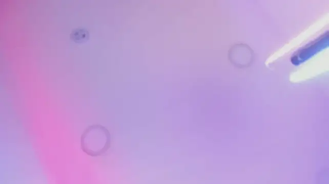 Tina_curly – Live XXX-chat