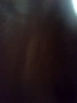 lbezzybaby88 Webcam show