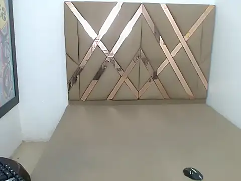 BrianaSofia_TS_n Webbikameraesitys