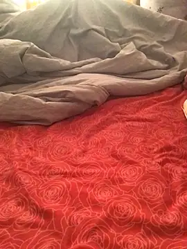 FleckedAlbumのウェブカメラショー