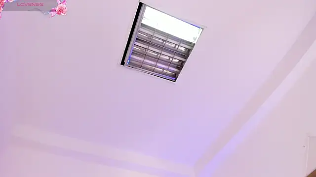 liian_23n Webbikameraesitys