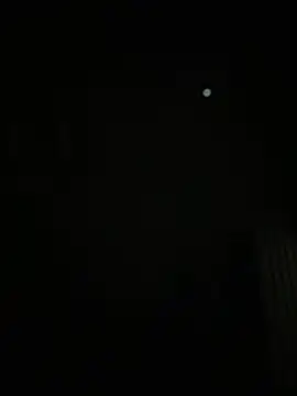 AmbarFoxx_'s Live XXX Chat