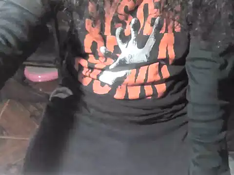 Show de OreCam na webcam