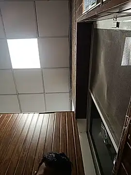 sexcook Pertunjukan Webcam