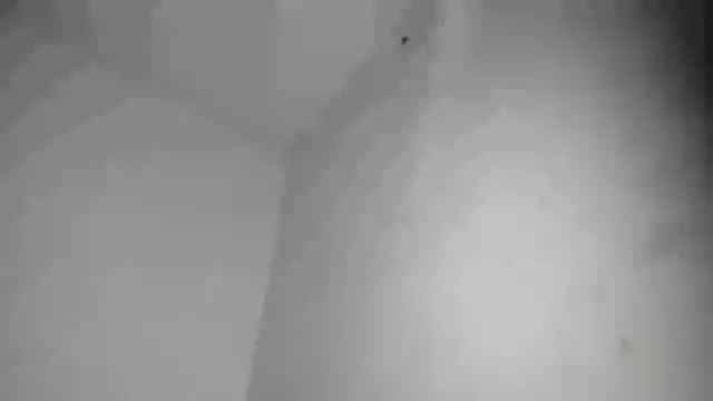 צ'אט XXX בשידור חי של calliedemon_