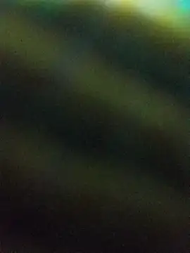 hairy_mannn's Webcam Show