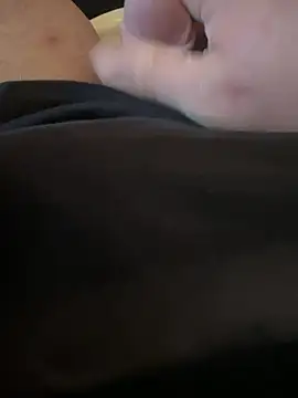 Fjomen Webbikameraesitys