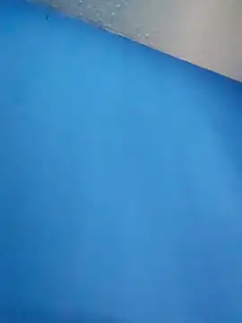 Evelyn_pink1 élő XXX-chatje