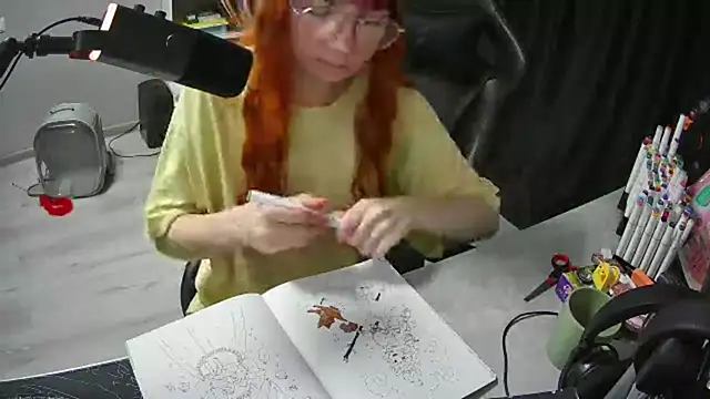 Show Webcam de ChiaArgrow