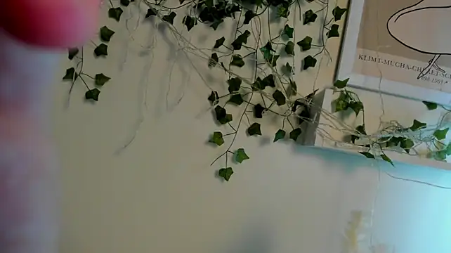 Chat XXX ao vivo de Eda_Vixen