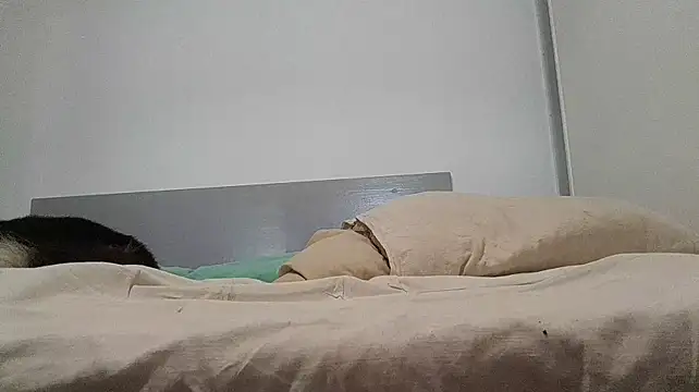 BelleGrosseQueue Шоу с уебкамера