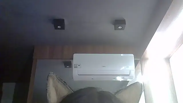 Show de webcam de SkinnyKitten