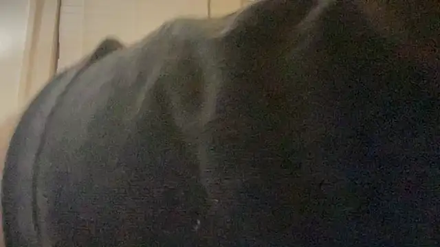 Chat XXX Live Nathan_chase
