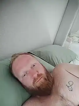 Show Webcam de GingerFun