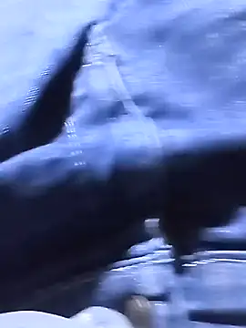 Cogelonregio Webcam show