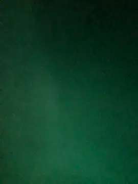 Živý XXX chat -Tara-a