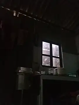 -Lemi- 网络视讯表演