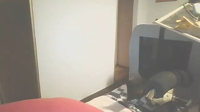 Yankeedave420 Live XXX-chat