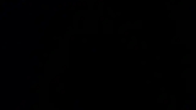 Damian64420 在線直播表演