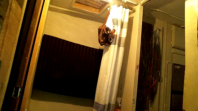 SexyB214 লাইভ XXX চ্যাট