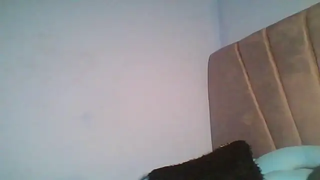 Show Webcam de logatto_locat