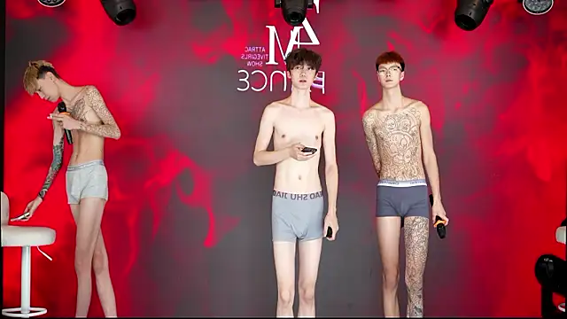 Webkamerová show NDN-6666