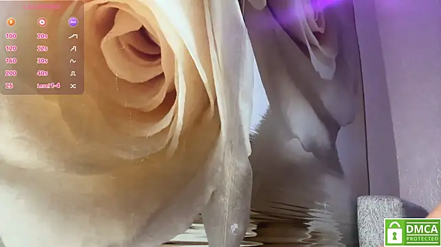 Kiaicatie লাইভ XXX চ্যাট