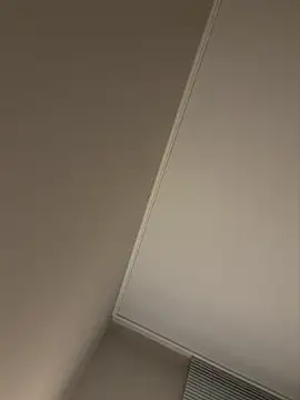 הופעת וובקאם של dvoi