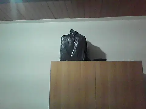 Show Webcam de D420TIME