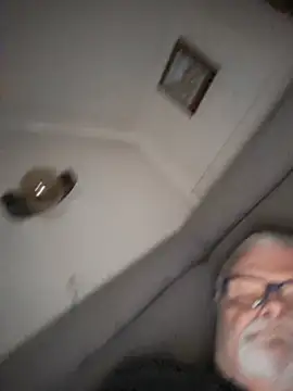 הופעת וובקאם של petvarad