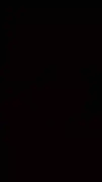 Tijgertjee_xxx Webcamshow