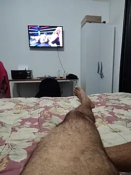 Show de Willdpo na webcam
