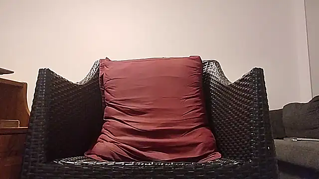 Tyyson03n Webbikameraesitys