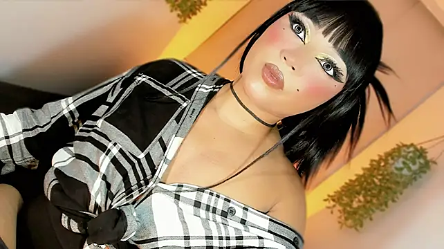 misstreslatinn Webbikameraesitys