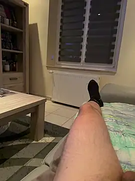 Show webcam de exib33