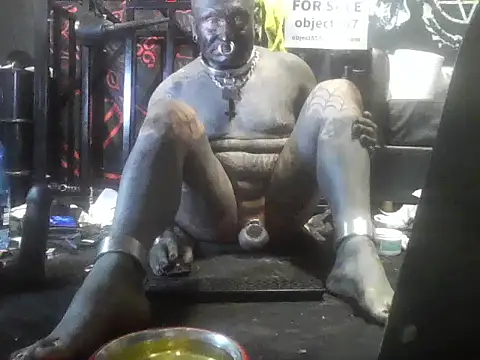Show webcam de wormobject