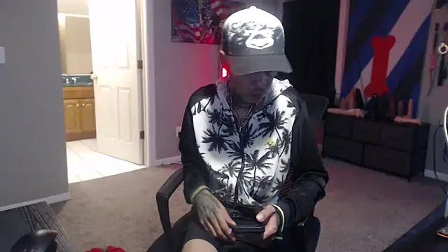 Show webcam de Michigan9000