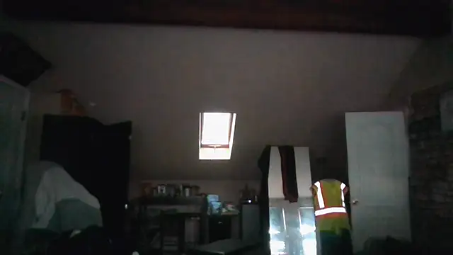 Chat XXX en directo de bigshh8