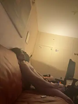 tonysdiaryn Webbikameraesitys