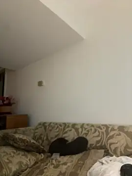 Chat XXX Live KOdaLion