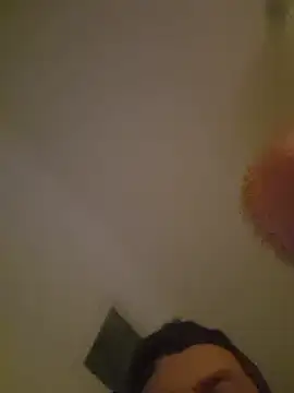 Show Webcam de DanOnCam