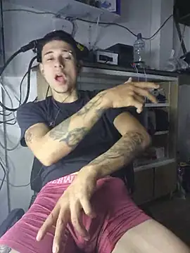 Show webcam de aronmax_