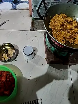 Show webcam de Nikhilboy400