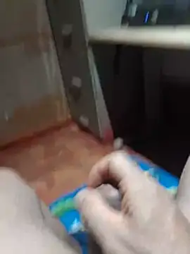 jssafn Webbikameraesitys