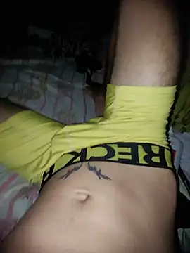 Show webcam de Alfoonso