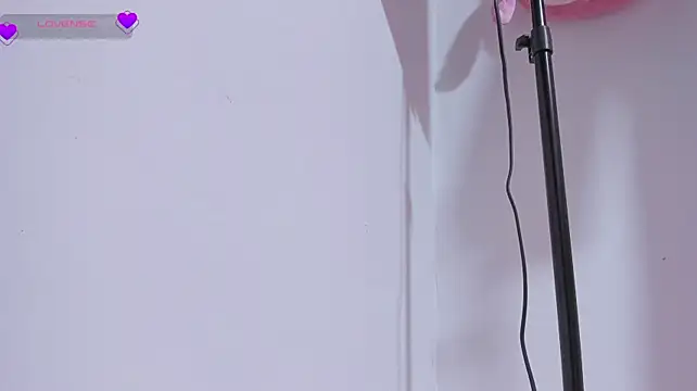 MissCurvyTop Chat XXX live
