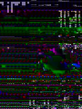 CravingControl Webcam-Show