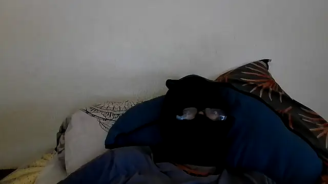 Show webcam de mbsobakis